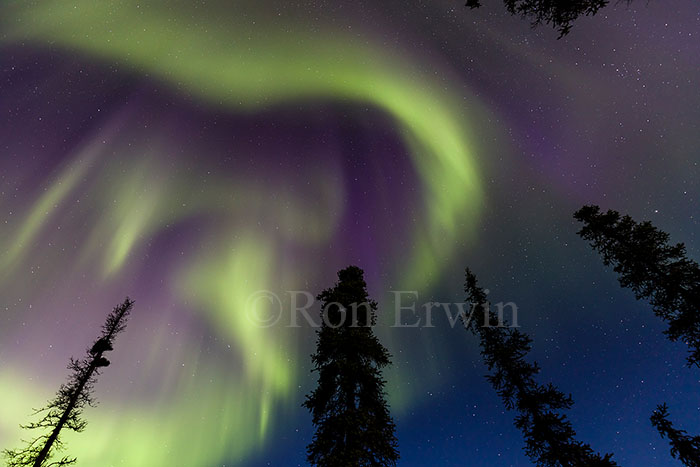 Northern Lights, Yukon