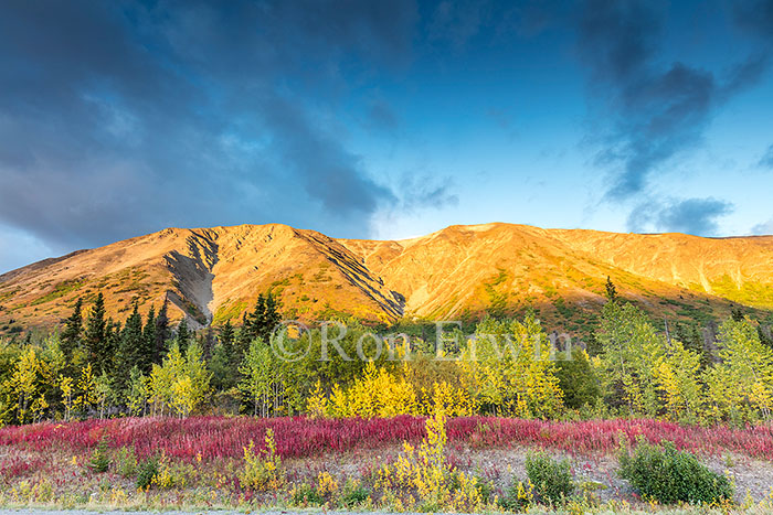 Yukon in Autumn