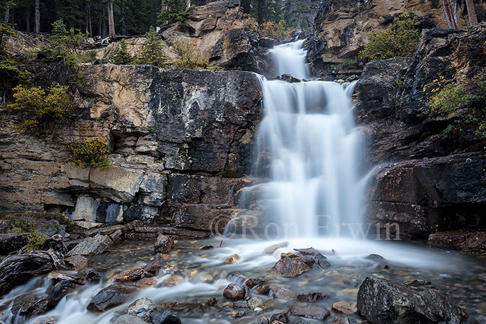 Tangle Creek, Jasper, AB