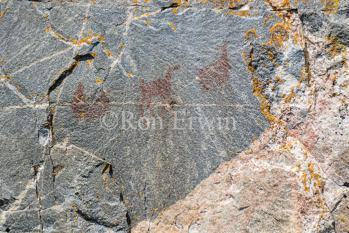 Agawa Rock Pictographs