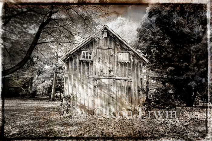 Old Shed