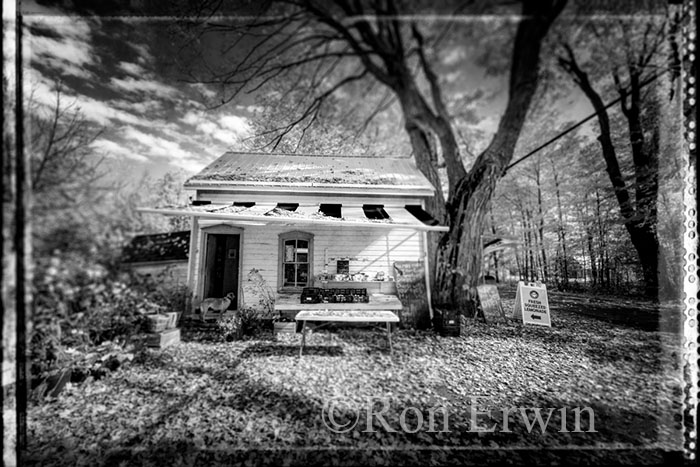 Vegetable Stand in the County