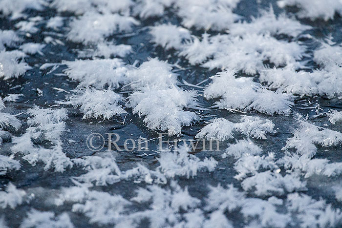 Surface Hoar Frost