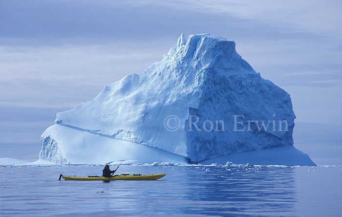 Lori kayaking by an iceberg