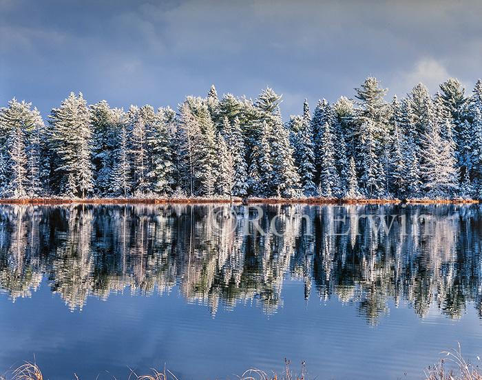 Algonquin, ON Early Winter
