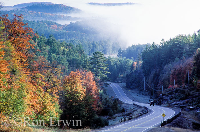 Fall on Algonquin's Highway 60