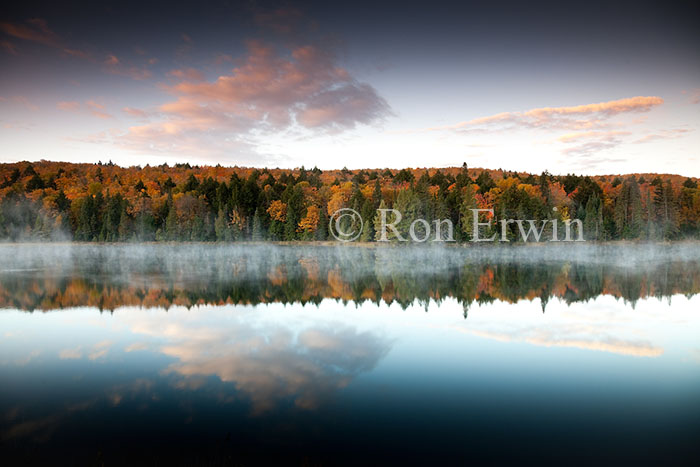 Algonquin Autumn Reflection