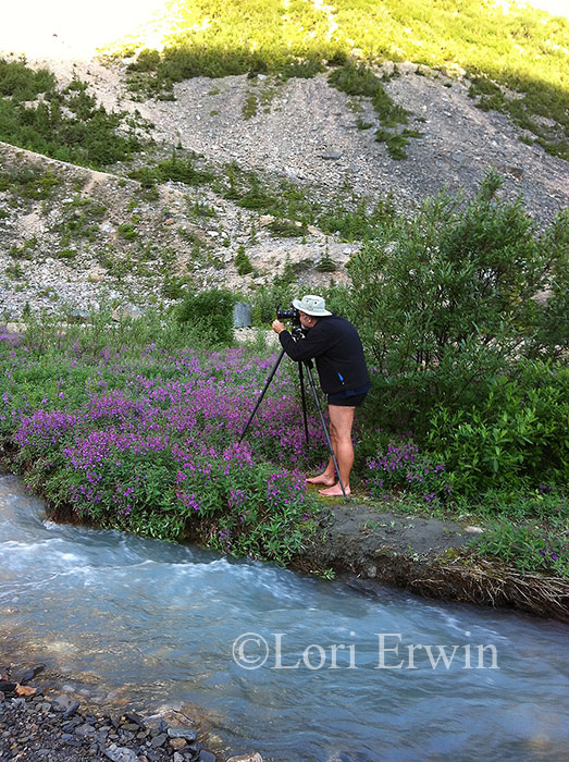 Photographing Mount Edith Cavell