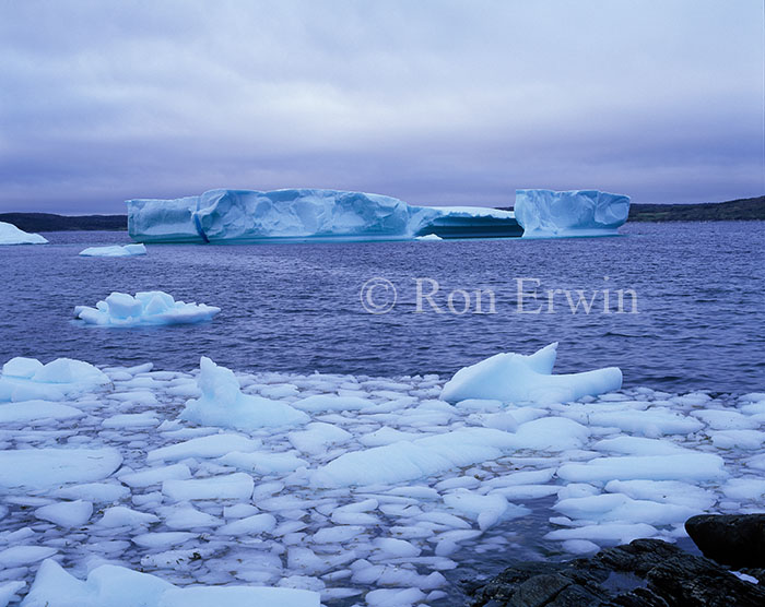 Iceberg Alley, Newfoundland and Labrador
