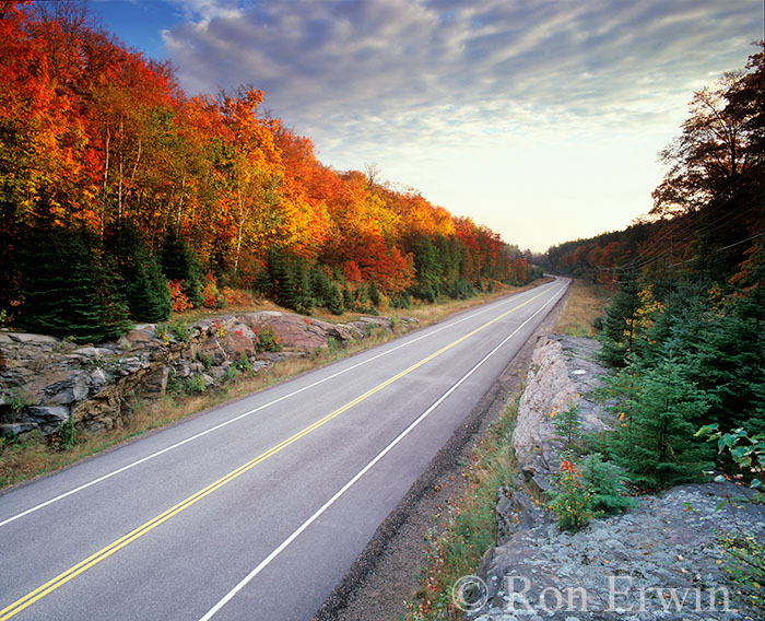 Fall on Highway 60 in Algonquin