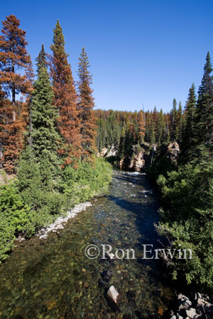 Tweedsmuir Provincial Park &copy; Ron Erwin