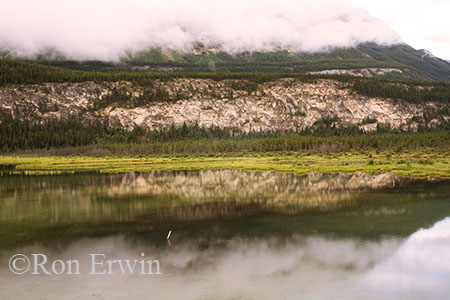 The Palisade &copy; Ron Erwin