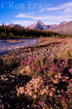 Quill Creek &copy; Ron Erwin