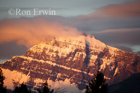  Mount Edith Cavell &copy; Ron Erwin