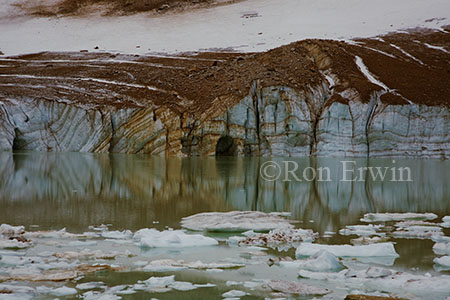 Cavell Glacier &copy; Ron Erwin