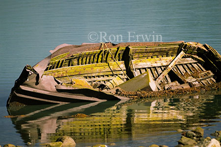 Sunken Boat &copy; Ron Erwin