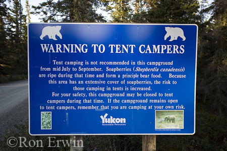 Bear Warning Sign