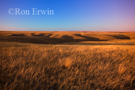 Grasslands National Park &copy; Ron Erwin