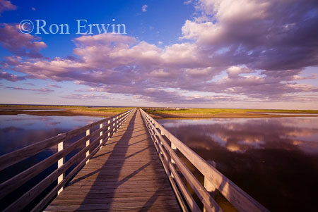 Kouchibouguac National Park &copy; Ron Erwin