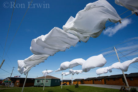 Drying Sheets &copy; Ron Erwin