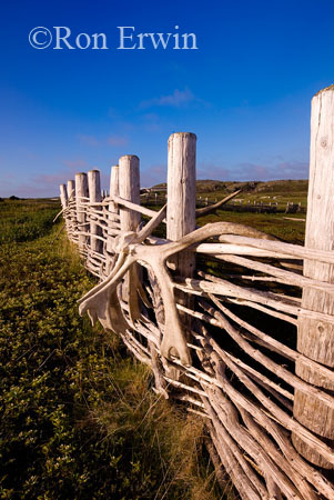 L'Anse aux Meadows, NL &copy; Ron Erwin