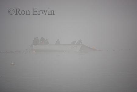 Capelin Fishing, Labrador &copy; Ron Erwin