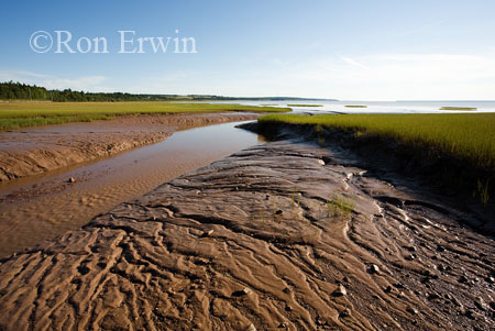 Fundy Mud, NB &copy; Ron Erwin