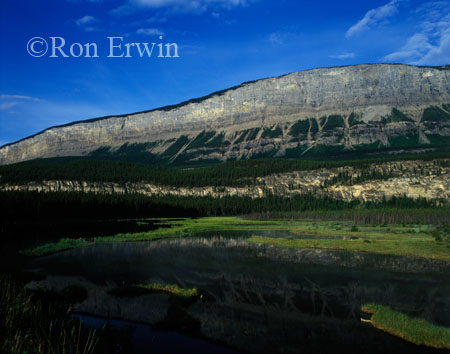 The Palisade &copy; Ron Erwin