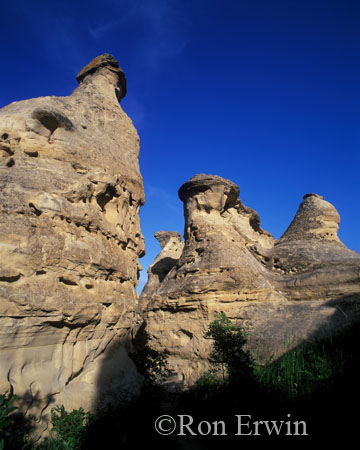 Hoodoos &copy; Ron Erwin