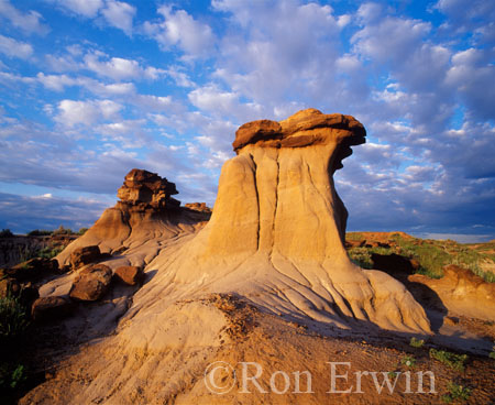 Dinosaur Provincial Park &copy; Ron Erwin