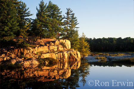 Cranberry Marsh Reflection &copy; Ron Erwin