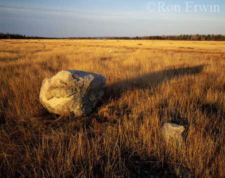 Erratics &copy; Ron Erwin