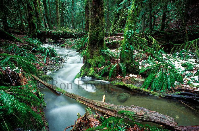 Goldstream Provincial Park Goldstream Provincial Park