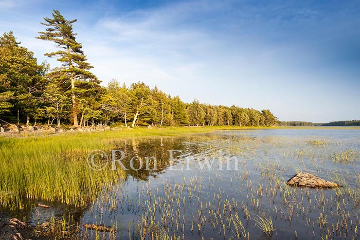Kejimkujik National Park, NS