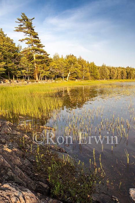 Kejimkujik National Park, NS