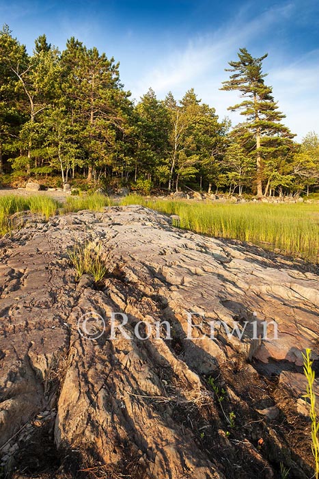 Kejimkujik National Park, NS