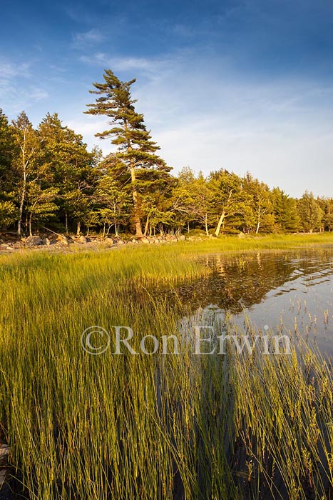 Kejimkujik National Park, NS