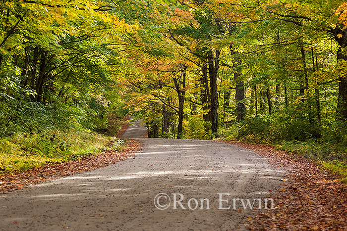 Autumn in Algonquin