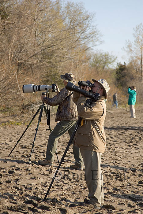 Photographing Birds