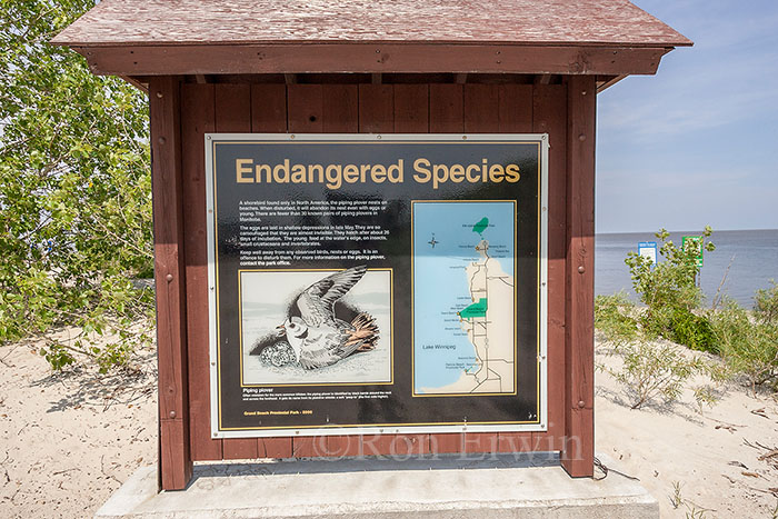 Endangered Species Sign