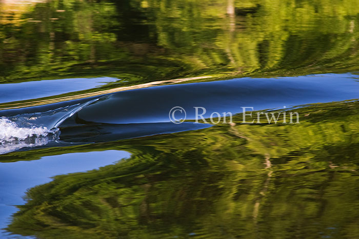 Blind River Reflections