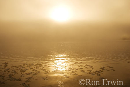 Dawn Mist