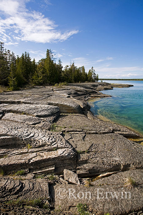 Shoreline Alvar