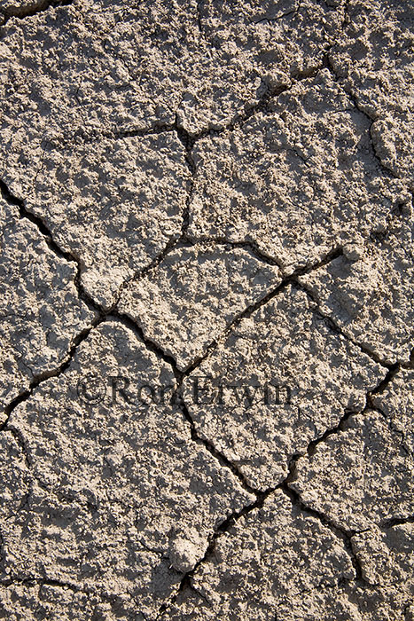 Dry Cracked Mud