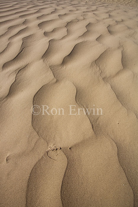 Drifting Sand