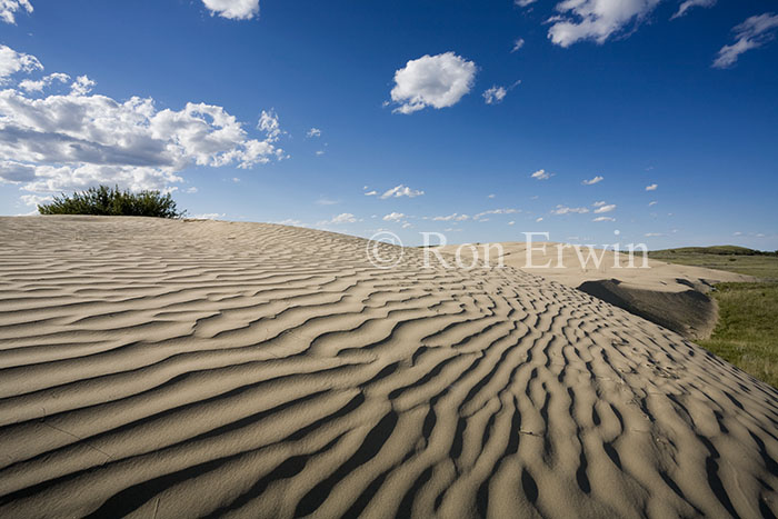 The Great Sandhills, SK
