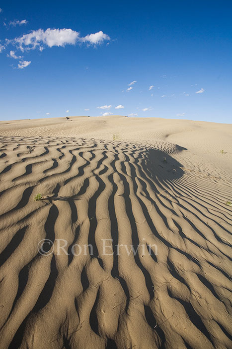 Sand Dunes