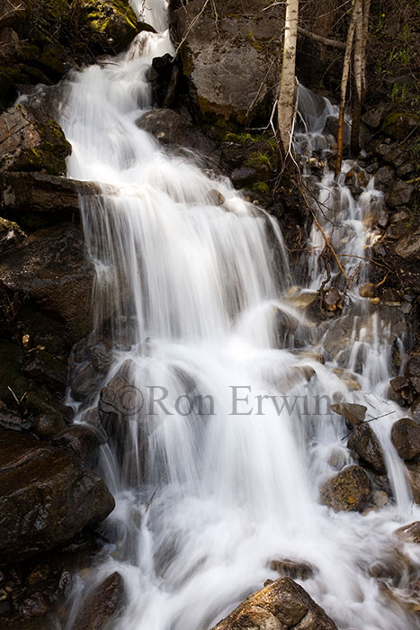 Alberta Waterfall