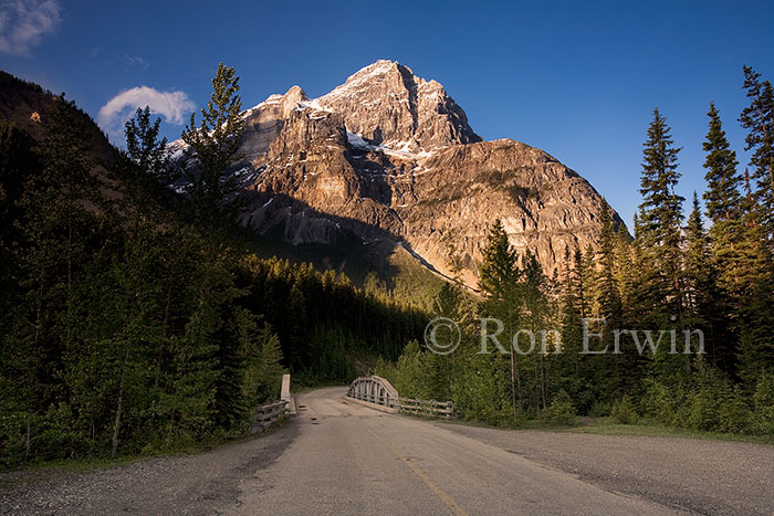 Cathedral Mountain