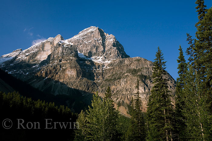 Cathedral Mountain